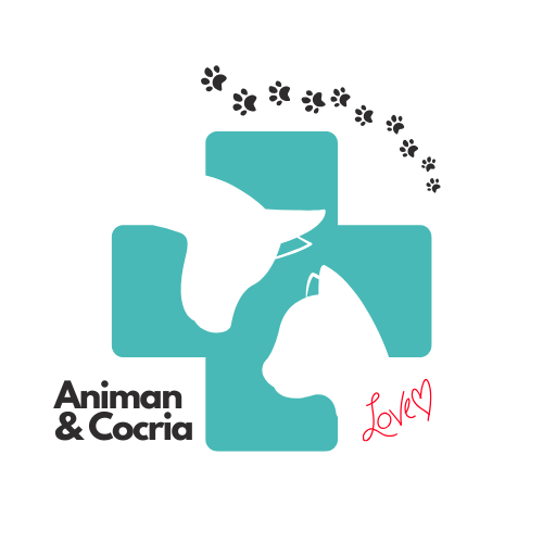 一般社団法人アニマン・コクリエ