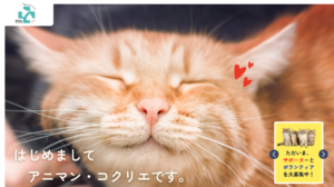 はじめまして。アニマン・コクリエです｜和歌山の保護猫活動紹介