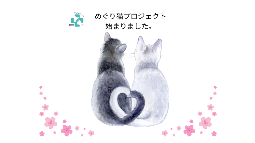 和歌山の愛来猫（めぐり猫）プロジェクト開始を知らせる2匹の猫のイラスト｜アニマン・コクリエ